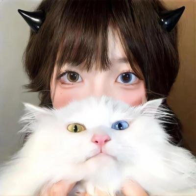 飞吧!道格拉斯