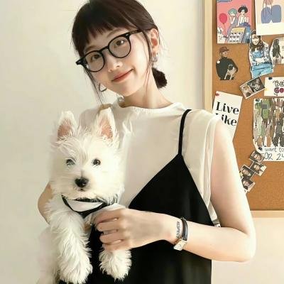 凡丹戈马戏团